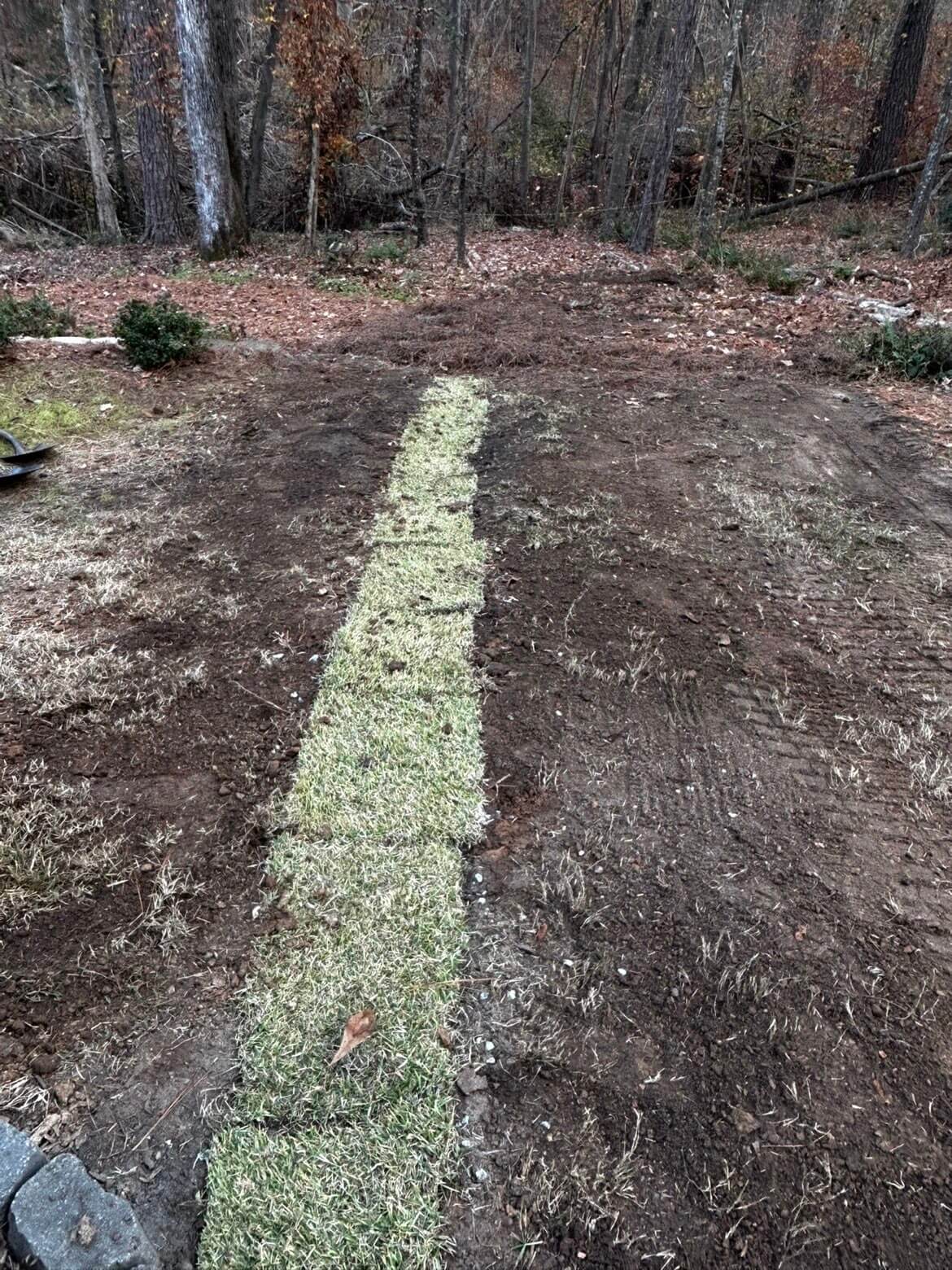 After: professionally landscaped yard by Norris Solutions