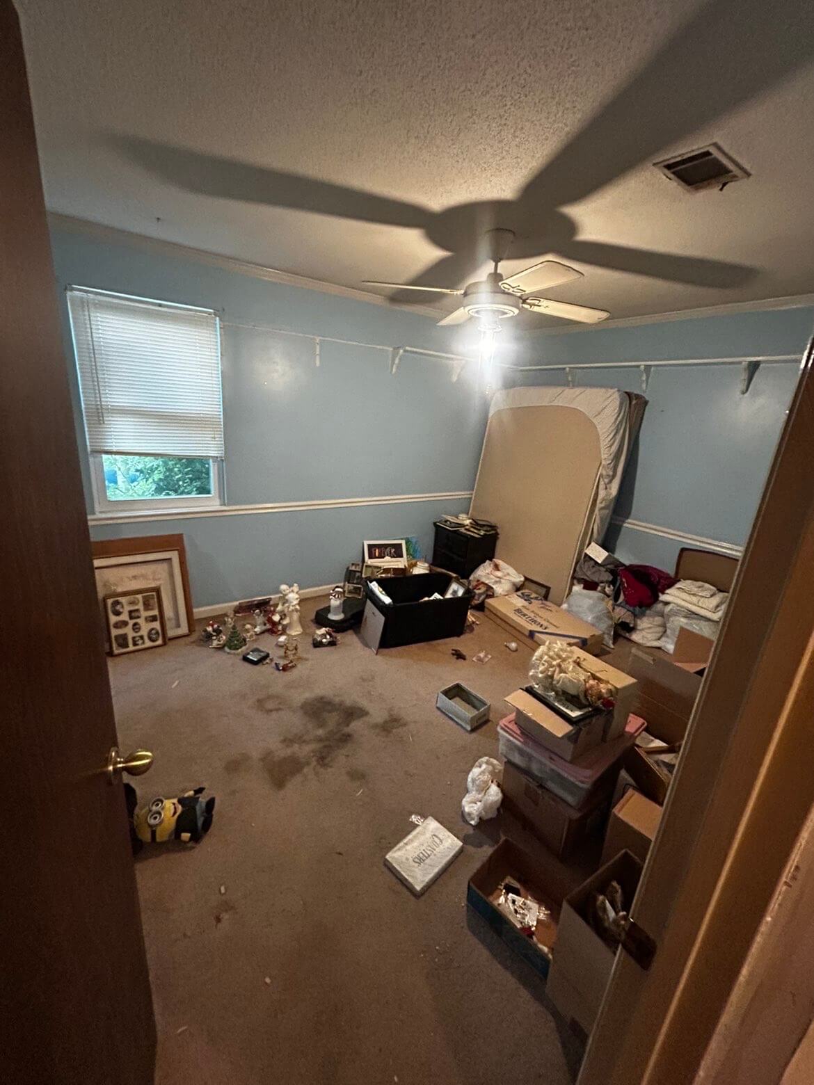 Before: yard before landscaping