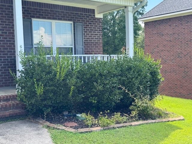 Before: yard before renovation